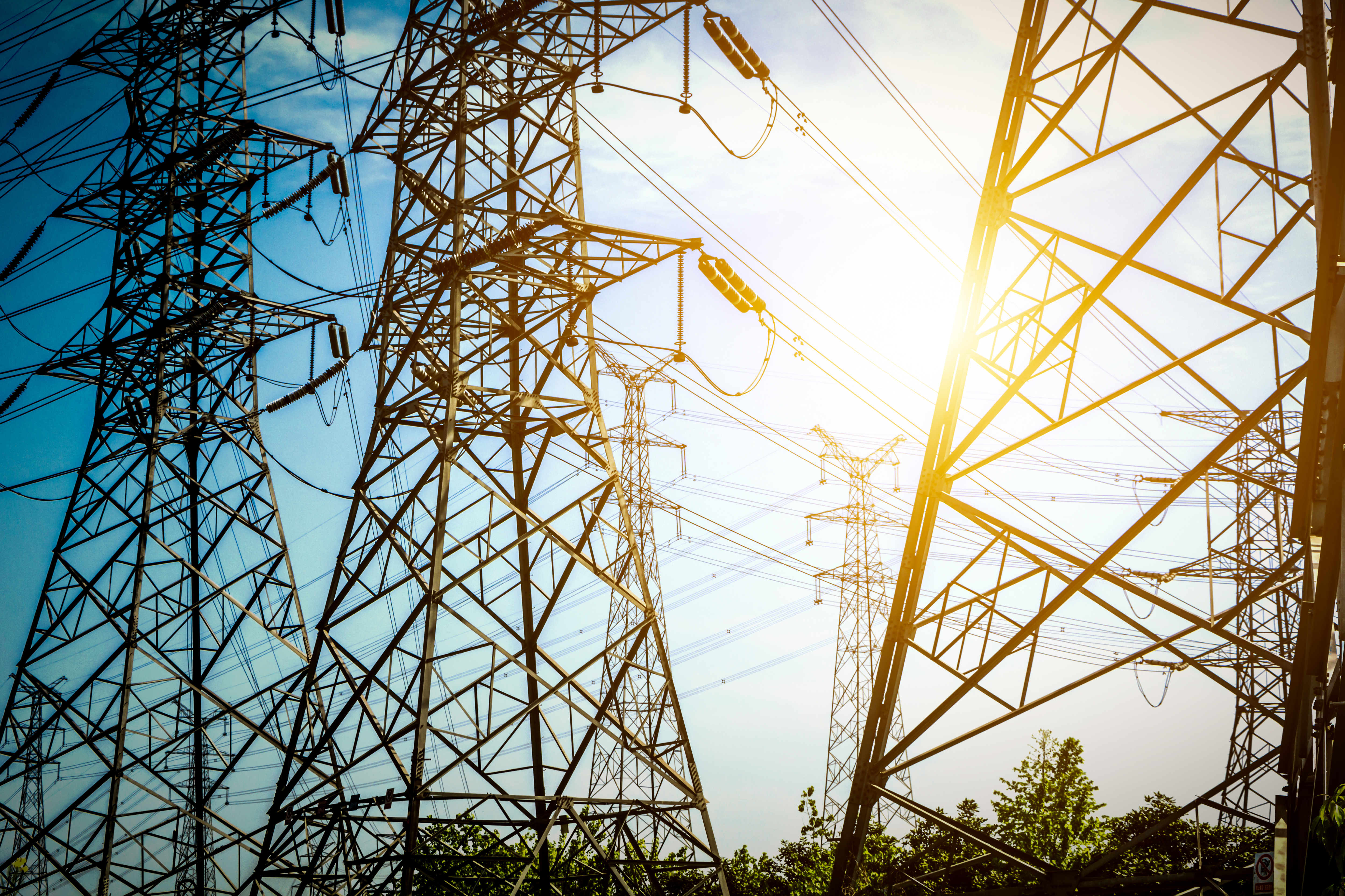 Contact electrical suppliers